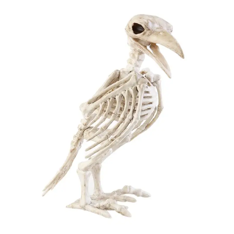 

Crazy Bone Skeleton Raven 100% Plastic Animal Skeleton Bones Horror Christmas Prop Bird Crow Skeleton Decoration