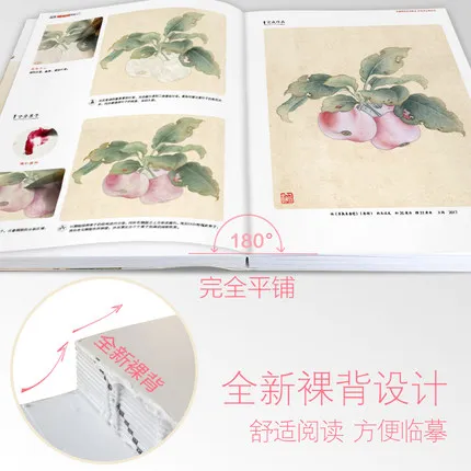 Тщательная техника птицы и цветы начинаются базовые учебники Книги Китайский Gongbi картины Цветной пион