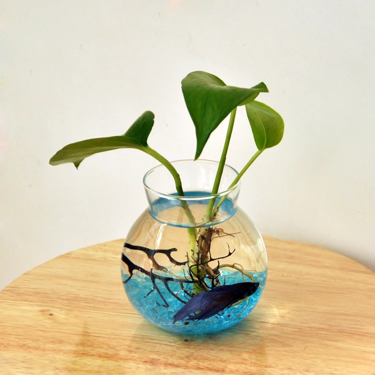 Vases Flower Planter Flower Bottle Glass Fish Tank Container Terrarium Home Table Decoration Clear
