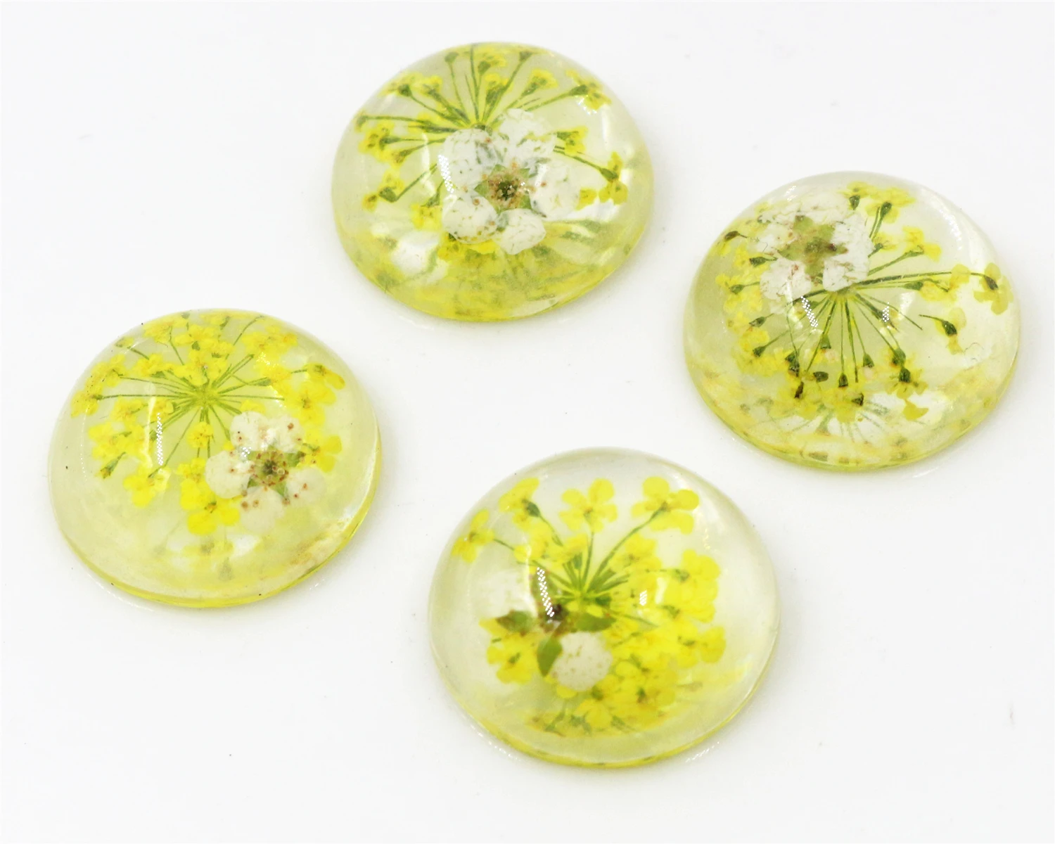 

New Fashion 10pcs 20mm Yellow Natural Dried White Chrysanthemum Flowers Cabochons Cameo-V3-03