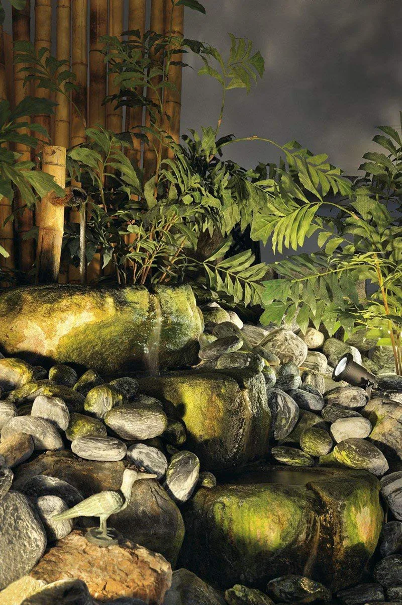 Garden spotlight