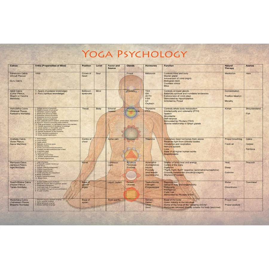 

J0888- Yoga Exercise Bodybuilding Chart Pop 14x21 24x36 Inches Silk Art Poster Top Fabric Print Home Wall Decor
