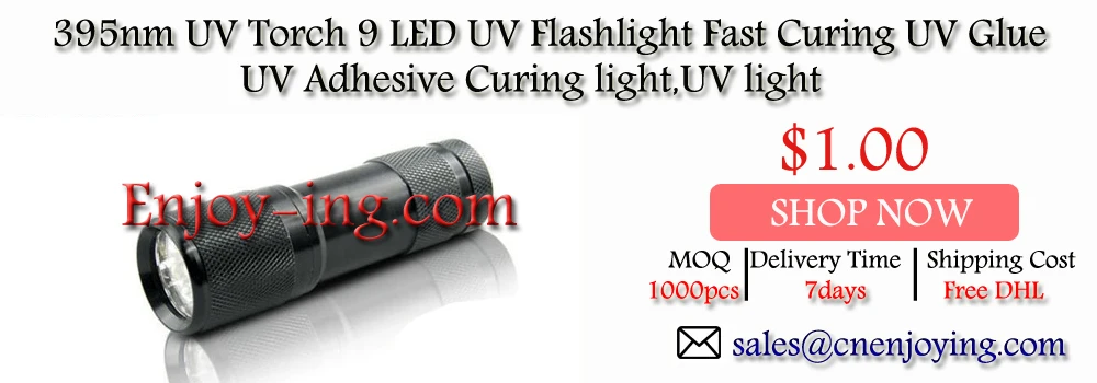 UV Flashlight
