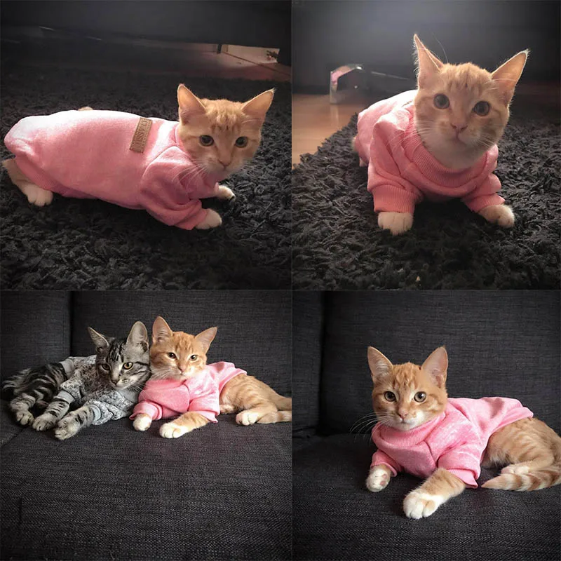 Warm-Cat-Clothes-Winter-Pet-Clothing-for-Cats-Fashion-Outfits-Coats-Soft-Sweater-Hoodie-Rabbit-Animals