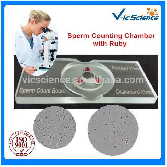 sperm counting chamber