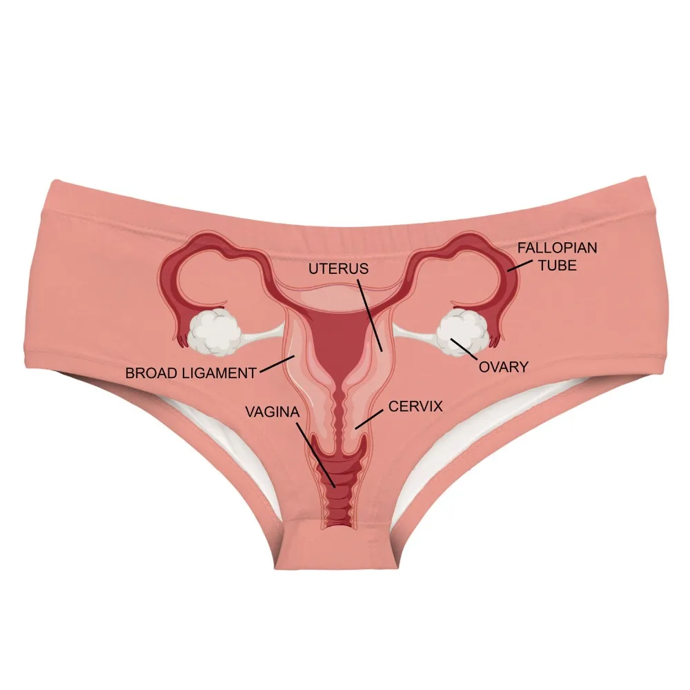 46255 female organs (1) copy