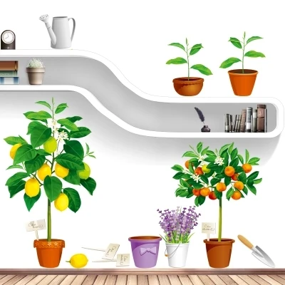 Special Offers fresh orange lemon tree pots wall stickers house home decor fruit plants poster self adhesive decals dining room wall papers Special Offers fresh orange lemon tree pots wall stickers house home decor fruit plants poster self adhesive decals dining room wall papers