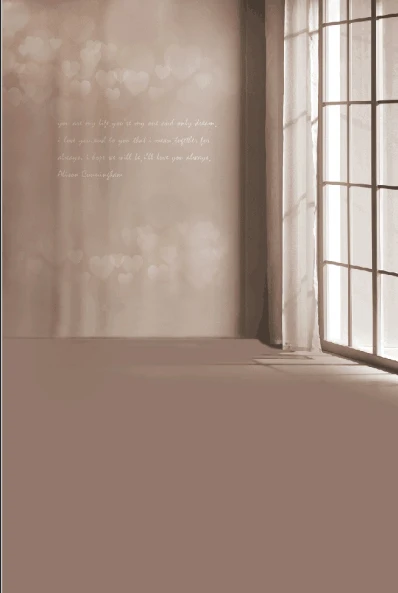 8x12FT Indoor Grey Wall Heart Shape Sunshine Window Valentine Day Custom Studio Backdrops Photo Backgrounds Vinyl 240cm x 360cm |