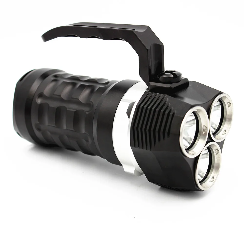 Hand held  Diving Flashlight DL0021 (3)