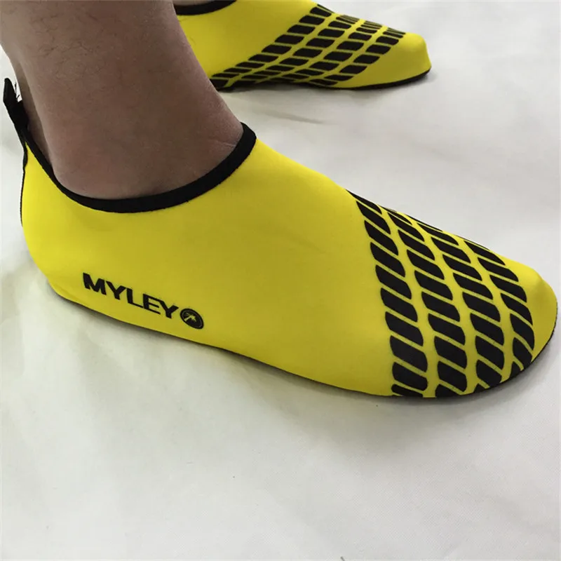 2784117736_979201264