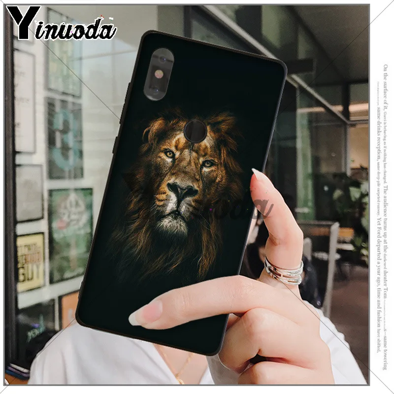 Animals The lion