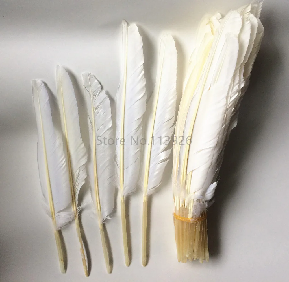 feathers for sale