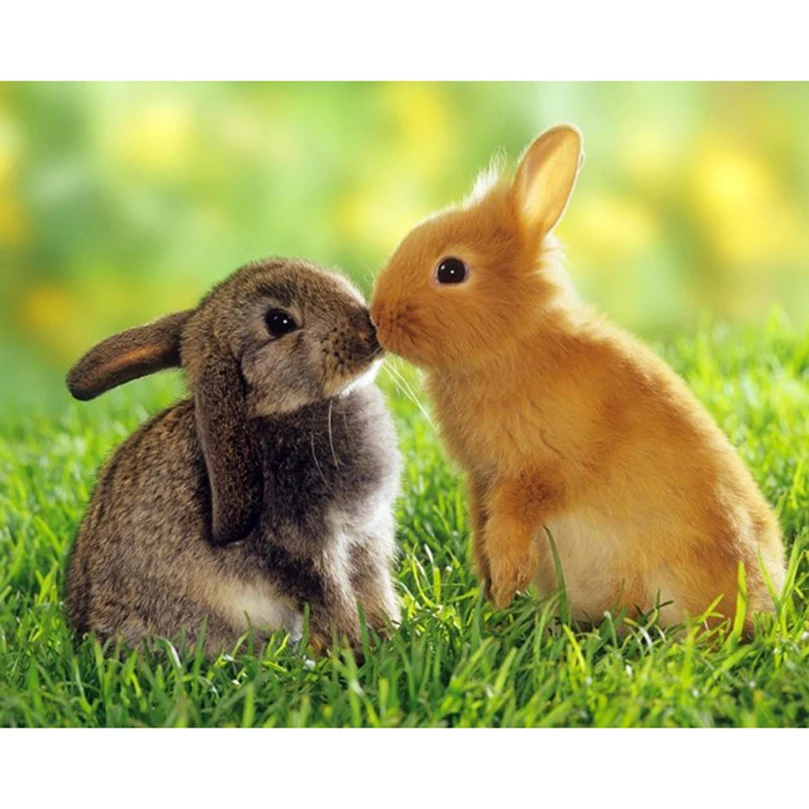 

5D diamond embroidery animal square diamond sets full decorative diy diamond painting Rabbit lover cross stitch crystal