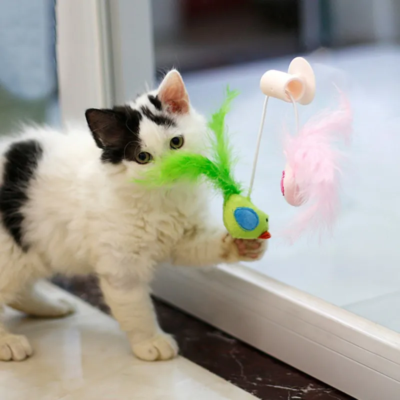 Игрушечный котенок, кошка, перо, стеклянный держатель для присоски, забавные перьевые игрушки, прорезыватель, палочка, присоска, окно, птица, интерактивная обучающая игрушка для кошек