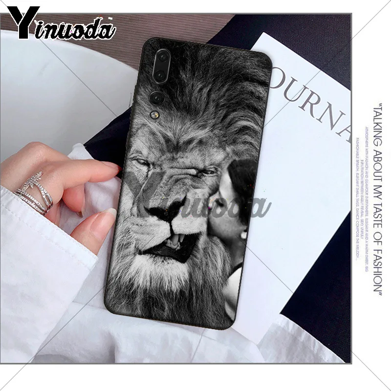 Animals The lion