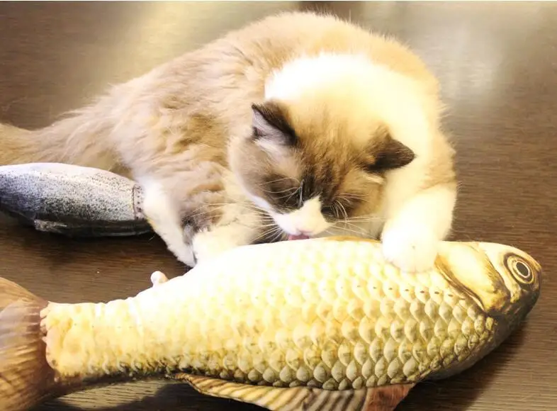 20cm Cat Favor Fish Toy Stuffed Fish Shape Cat Scratch Board Scratching Post plush toys For Cat Pet Toy Pet Products Supplies