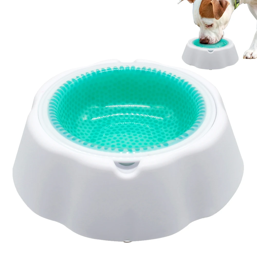 

Pet Frosty Bowl Dog Quick Cooling Bowls Pet Cat Feeder Ice Feeding Keeping Food Fresh Cold Bowls for Summer