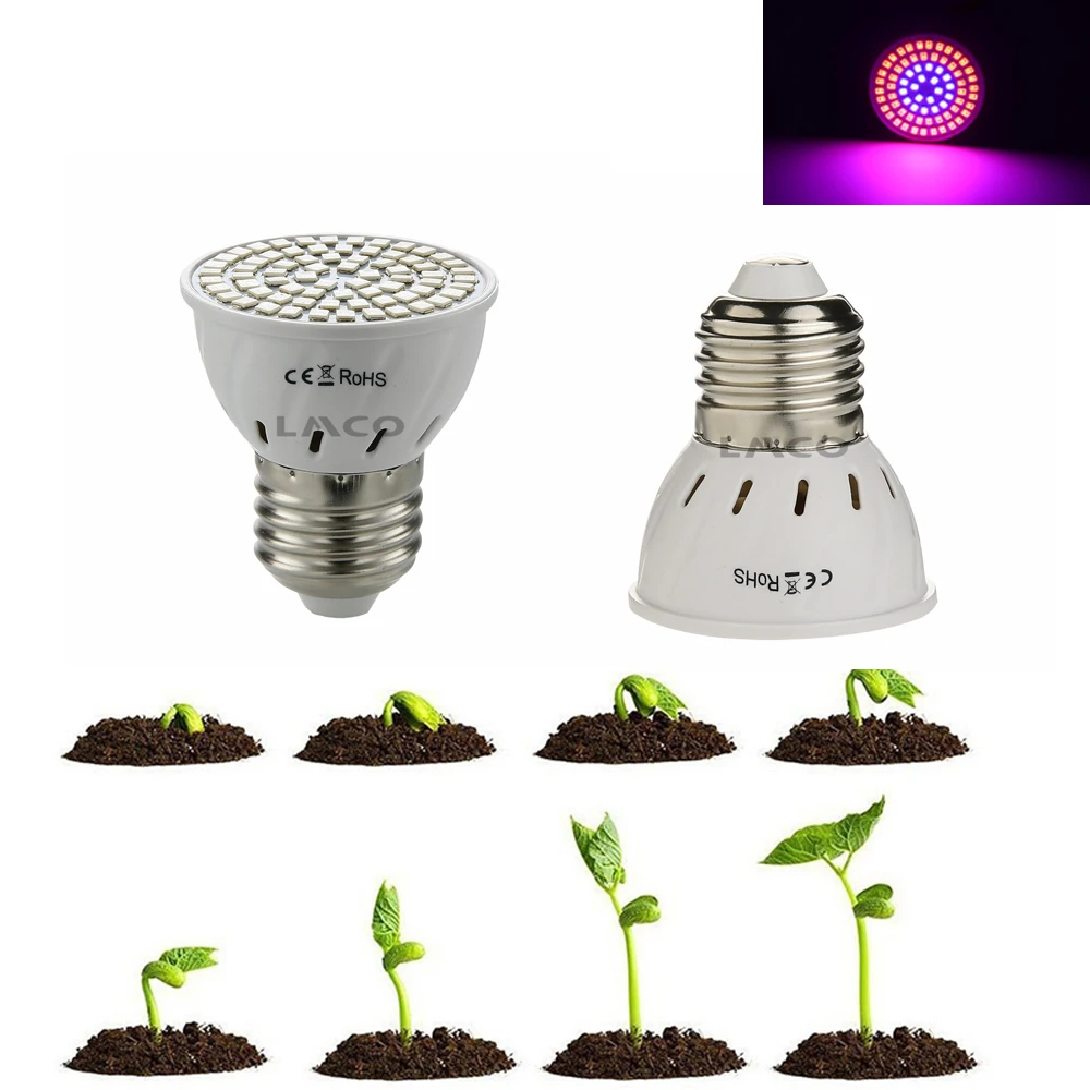 E26/E27 светодиодный светильник для выращивания 220 В SMD2835 красный синий светильник для выращивания с держателем лампы для сада, теплицы, растений, садоводства, гидропоники