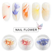 Mtssii сушеные Цветочные нейл-арта декоративные Формочки-Лепестки дизайн ногтей аксессуары цветок наклейки для ногтей в коробке ногтей аппликация случайный цвет