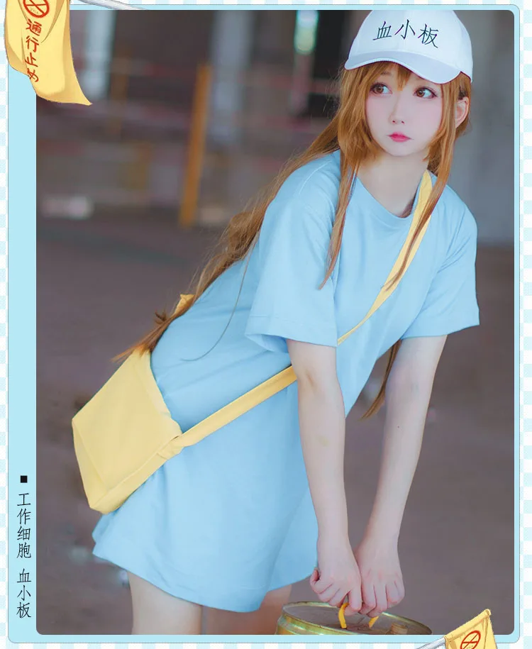 SDM038-6