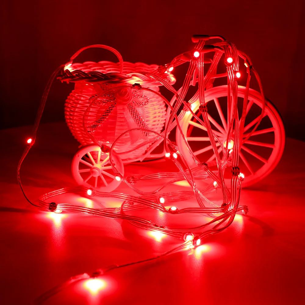 WS2812 Light String L844 (14)