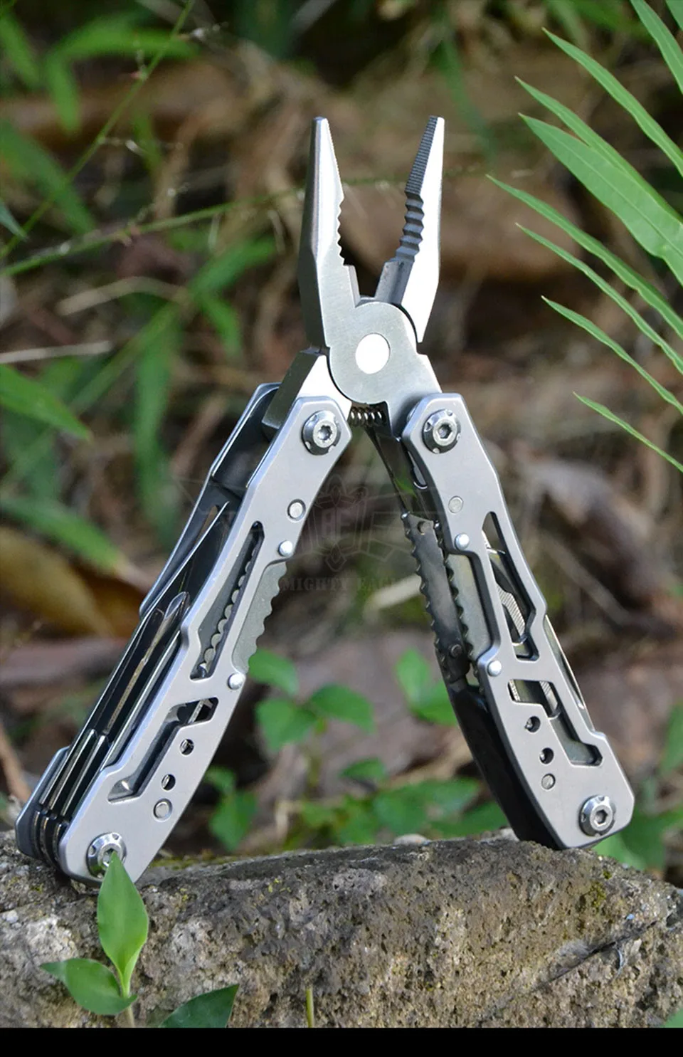 z1