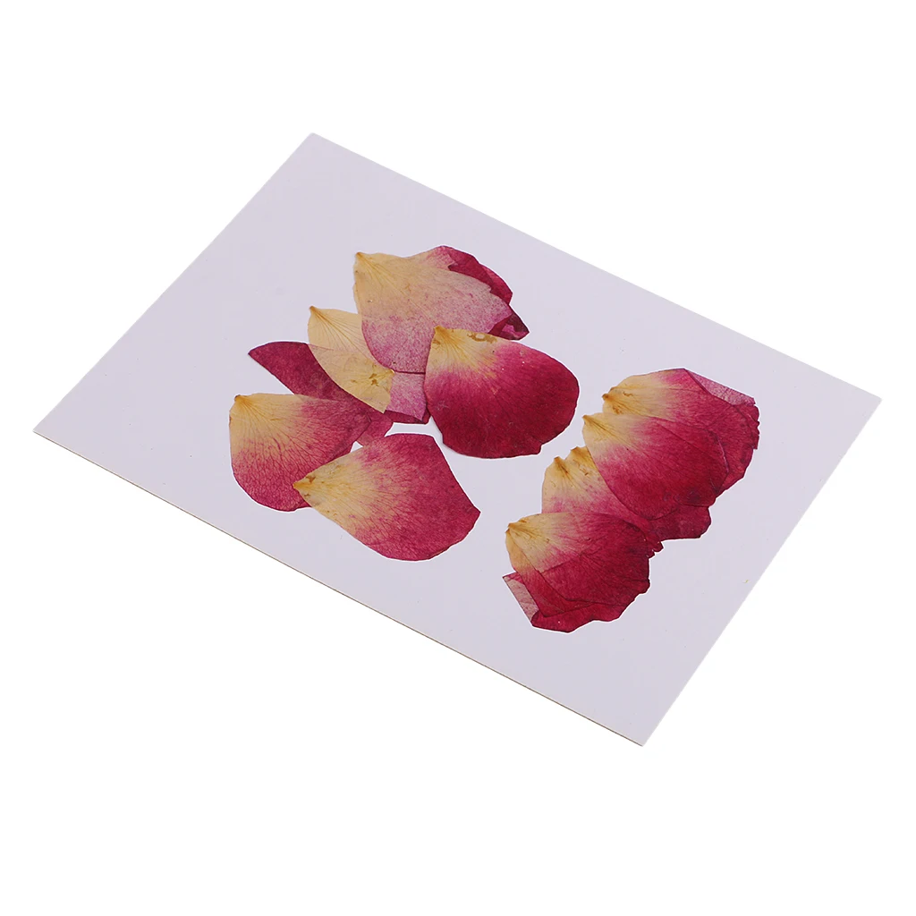 

20 Pieces Dried Pressed Rose Petals FlowersFake Flowers for DIY Scrapbooking Handmade Bookmarks Album Frame Decor Arts Crafts