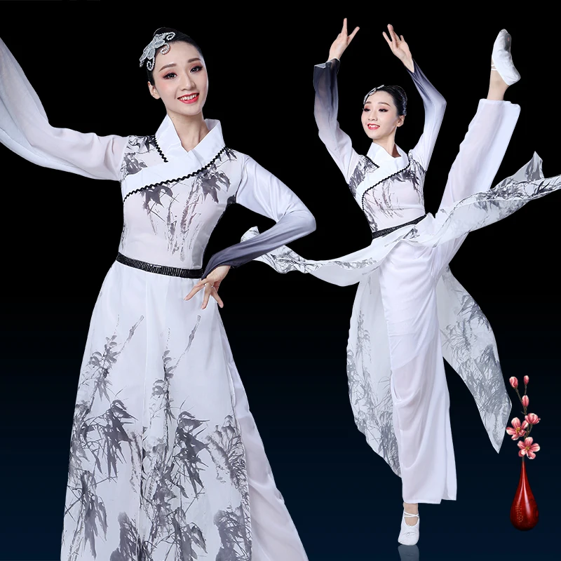 

Chinese Classical Dance Dress Adult/Female/Male Elegant Chinese Ink Printed Performance Dance Dress Dance Costume BL1828