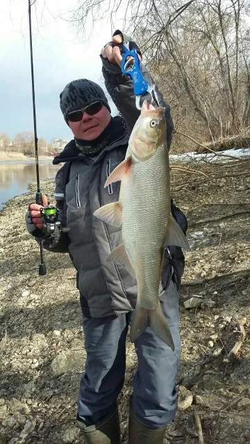 Aderência dos Lábios de Peixe com Colhedor e Pounch cm de Liga de Alumínio Frete Grátis Ilure Massa Pesqueiro 195g 29 19 Ferramentas de pesca