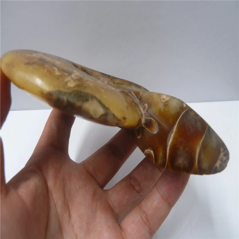 P1420129