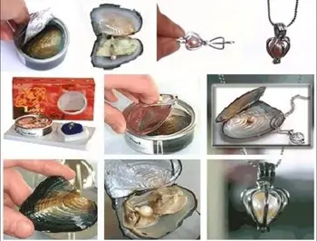 

Free Shipping 6 Set Love Wish Pearl Necklace Set Oyster Drop Pendant
