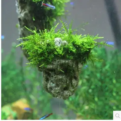 Aquarium Decoration Suspension Decorative Stone Is Land Acuarios