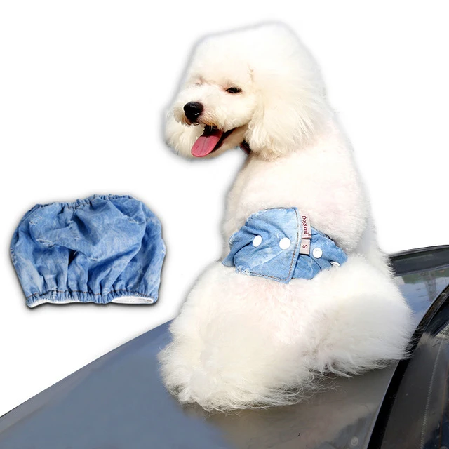 belly bands for male dogs petsmart