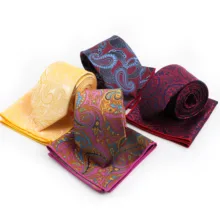 Мужской формальный Пейсли полиэстер Повседневный Тощий Карманный квадратный шейный платок комплект галстуков