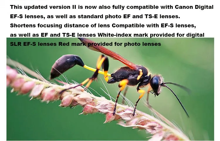 EF12-7