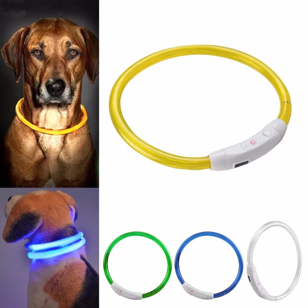 Светодиодный с usb зарядкой. Силиконовый ошейник для собак. Easy dog светящийся ошейник. Ошейник с именем для собаки светящийся. Светящаяся собака.