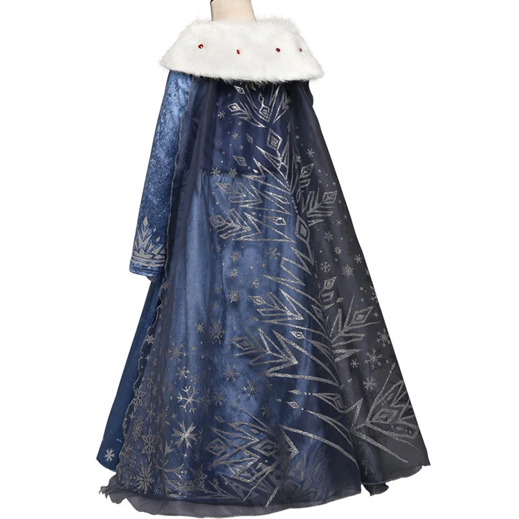 Sleeping Beauty Costume (2)
