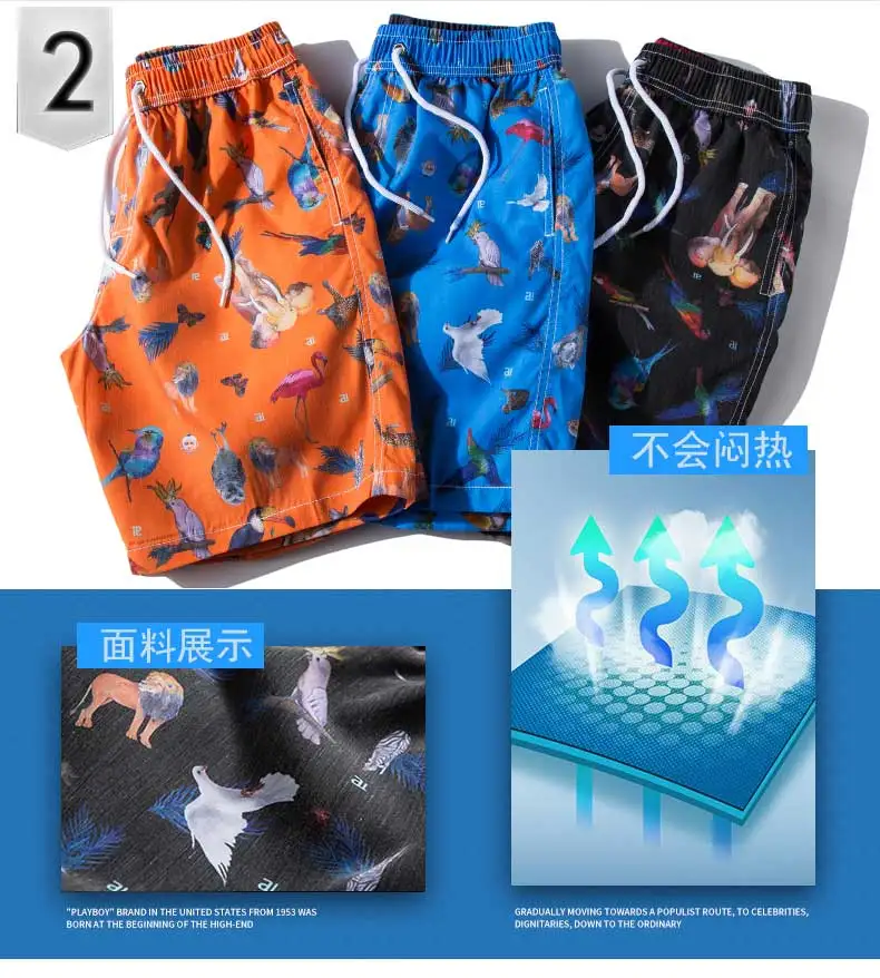  (5)