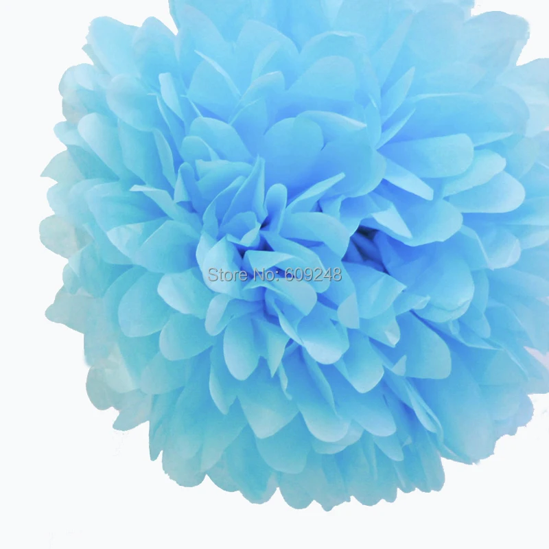 alipom14002.jpg