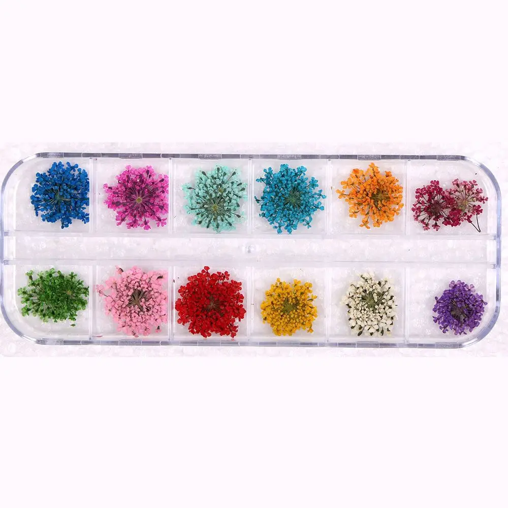 

Real Natural Petal Dried Dry Flower Tips 3D Nail Art Wheel Decoration Nail Jewelry For UV Gel beauty Manicure Tools Dropshipping