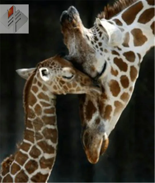 

Giraffes Full drill diamond embroidery painting cross stitch finger rhinestone handicraft decoration mosaic