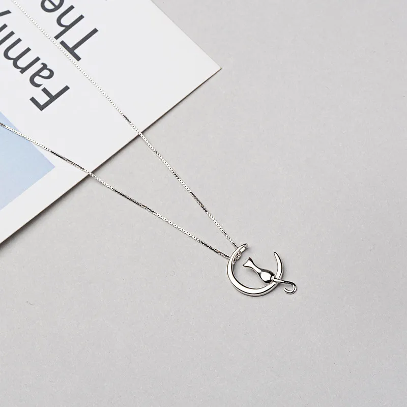 XL1066 (4)