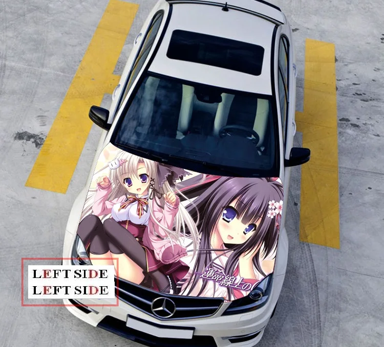 31.1