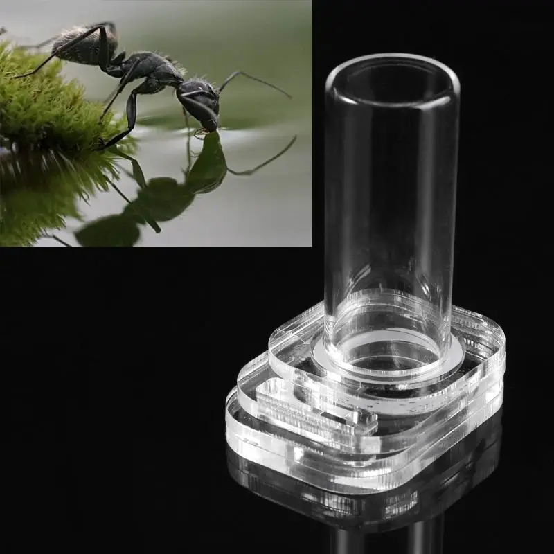 Pet Ants Water Feeding Bowl Ant Farm Insect Nests Ant Villa Water