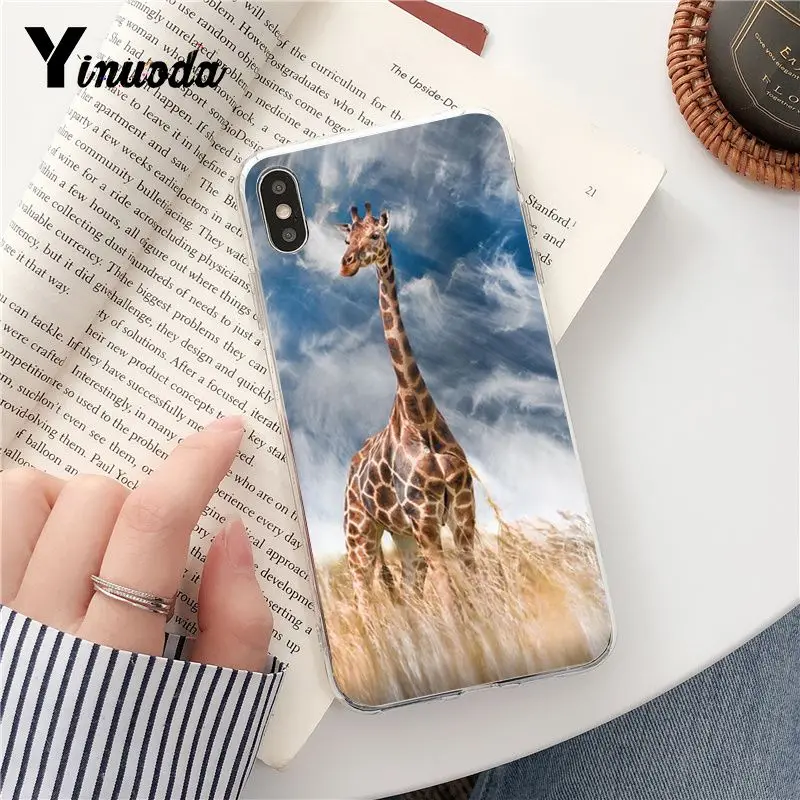 Wear Glasses Giraffe