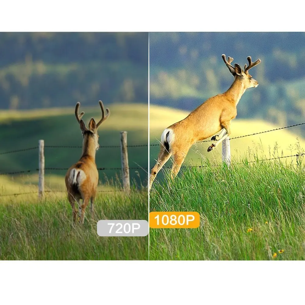 Hunting camera photo traps (42)