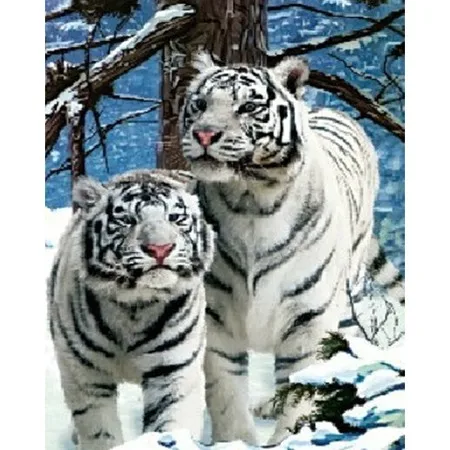 HTB1i_JsMpXXXXafXFXXq6xXFXXXI