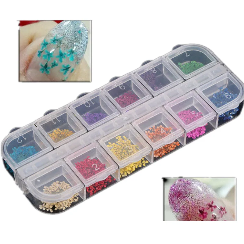 جديد الساخن بيع 24 36 قطع 12 الألوان 3d الجافة المجففة زهرة ل هلام مسمار الفن نصائح الديكور الحقيقي