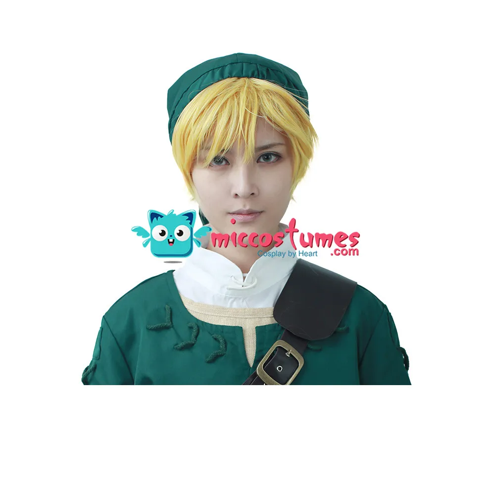 Synthetic Wig The Legend of Zelda Link Cosplay Wig photo