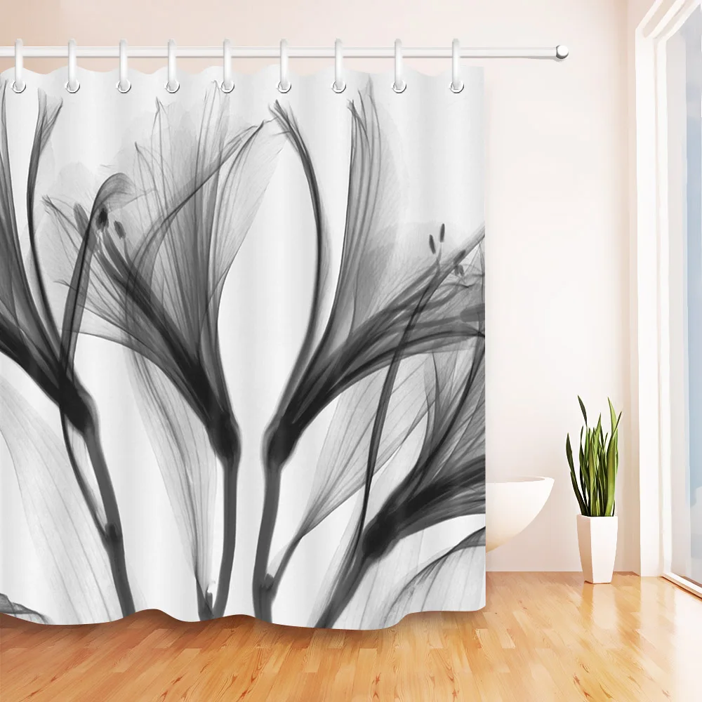 LB Abstract Black X ray Blossom Transparent Flower Nature White Shower